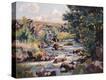Stretched Canvas Print