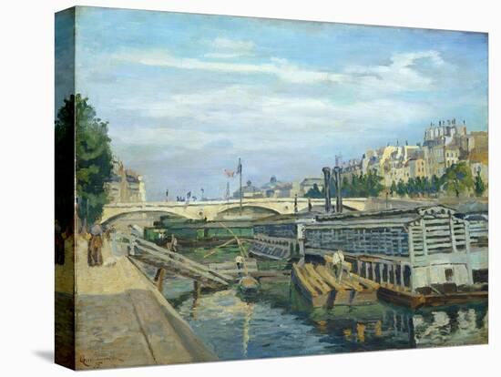 Stretched Canvas Print, , large