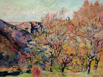 The Coast from L'Esterel, C.1902-Jean Baptiste Armand Guillaumin-Giclee Print