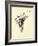 Armchairia Comfortabilis-Edward Lear-Framed Giclee Print