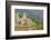 Armenia, Tatev. Tatev Monastery, 9th century.-Walter Bibikow-Framed Photographic Print