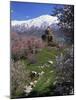 Armenian Church of the Holy Cross, on Akdamar Island, Beside Lake Van, Anatolia, Turkey-Woolfitt Adam-Mounted Photographic Print