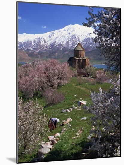 Armenian Church of the Holy Cross, on Akdamar Island, Beside Lake Van, Anatolia, Turkey-Woolfitt Adam-Mounted Photographic Print