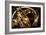 Armillary Sphere-Detlev Van Ravenswaay-Framed Photographic Print