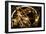 Armillary Sphere-Detlev Van Ravenswaay-Framed Photographic Print