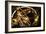 Armillary Sphere-Detlev Van Ravenswaay-Framed Photographic Print