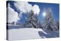 Stretched Canvas Print