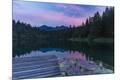 Photographic Print