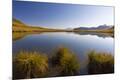 Photographic Print
