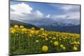 Photographic Print