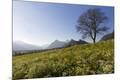 Photographic Print