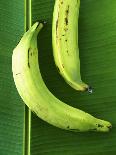 A Banana Flower-Armin Zogbaum-Photographic Print