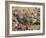 Armman, Jordan-Neale Clarke-Framed Photographic Print