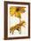 Armonie in giallo-Eva Barberini-Framed Art Print