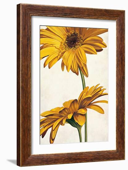 Armonie in giallo-Eva Barberini-Framed Art Print