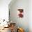 Armonie in rosso-Eva Barberini-Premium Giclee Print displayed on a wall