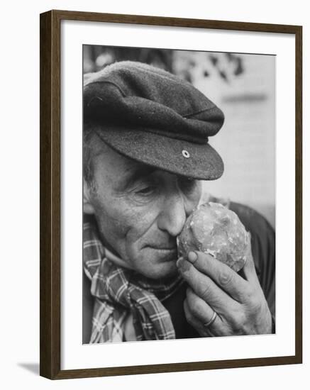 Armora of Truffle Is Inhaled by Italian Truffle-Gatherer-null-Framed Photographic Print