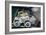 Armored Car in White-null-Framed Art Print