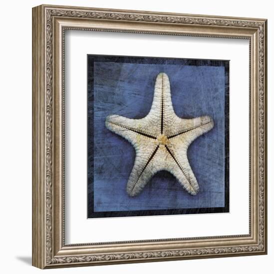 Armored Starfish Underside-John W^ Golden-Framed Art Print