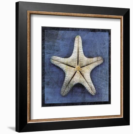 Armored Starfish Underside-John W^ Golden-Framed Art Print