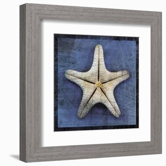 Armored Starfish Underside-John W^ Golden-Framed Art Print