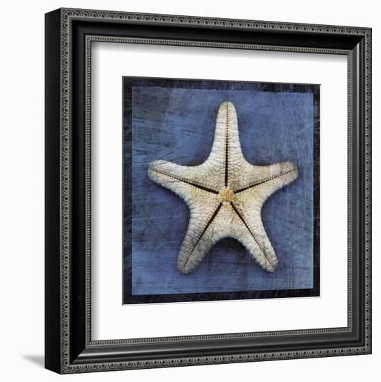 Armored Starfish Underside-John W^ Golden-Framed Art Print