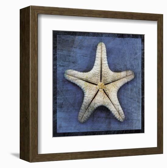 Armored Starfish Underside-John W^ Golden-Framed Art Print