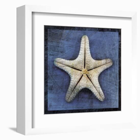 Armored Starfish Underside-John W^ Golden-Framed Art Print