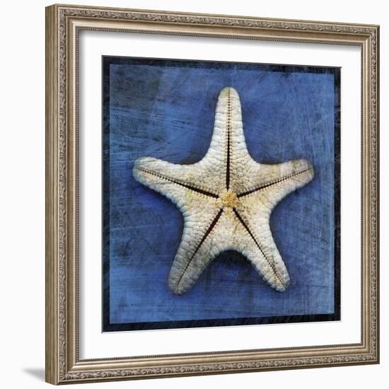 Armored Starfish Underside-John W Golden-Framed Giclee Print