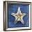 Armored Starfish Underside-John W Golden-Framed Giclee Print