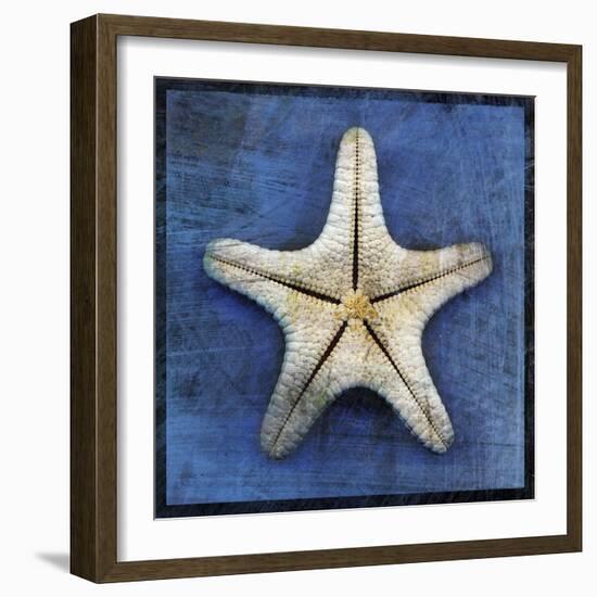 Armored Starfish Underside-John W Golden-Framed Giclee Print