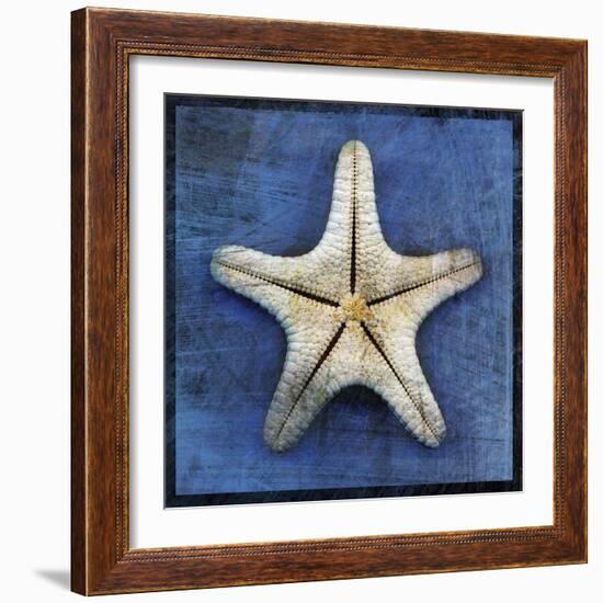 Armored Starfish Underside-John W Golden-Framed Giclee Print