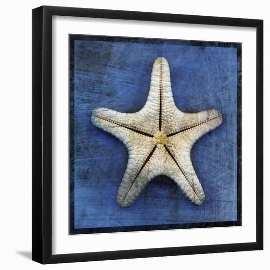 Armored Starfish Underside-John W Golden-Framed Giclee Print