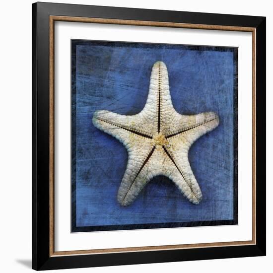 Armored Starfish Underside-John W Golden-Framed Giclee Print