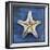 Armored Starfish Underside-John W Golden-Framed Giclee Print