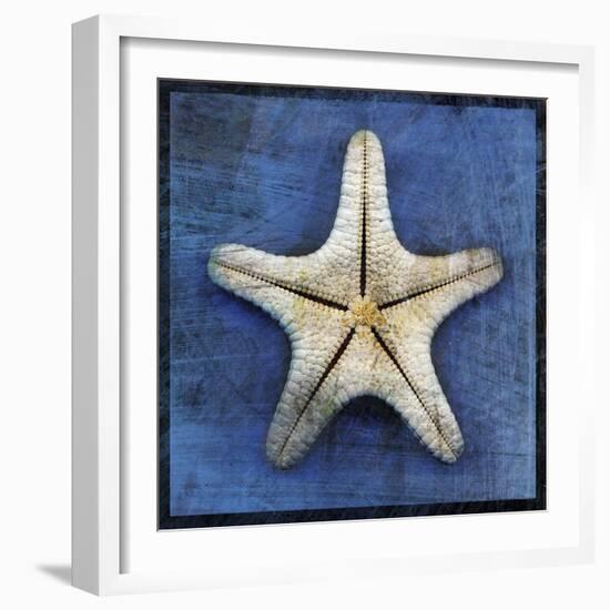 Armored Starfish Underside-John W Golden-Framed Giclee Print