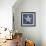 Armored Starfish Underside-John W Golden-Framed Giclee Print displayed on a wall