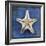 Armored Starfish Underside-John W Golden-Framed Giclee Print