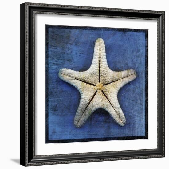 Armored Starfish Underside-John W Golden-Framed Giclee Print