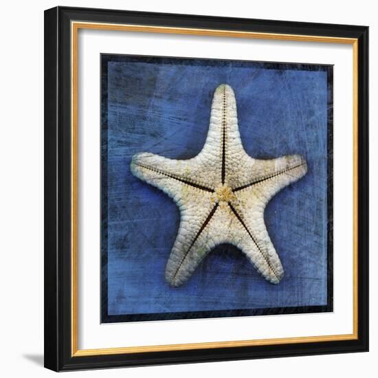 Armored Starfish Underside-John W Golden-Framed Giclee Print