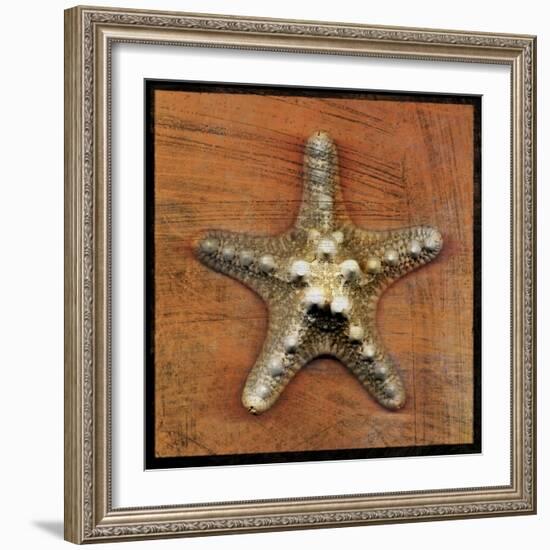 Armored Starfish-John W Golden-Framed Giclee Print