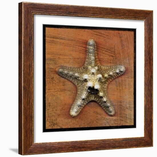 Armored Starfish-John W Golden-Framed Giclee Print