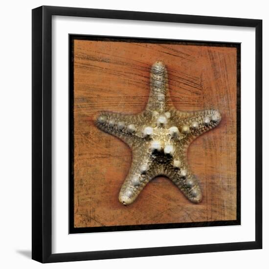 Armored Starfish-John W Golden-Framed Giclee Print