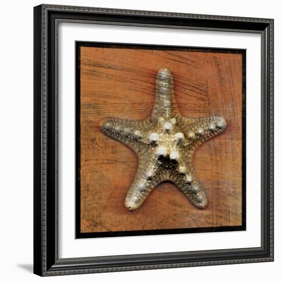 Armored Starfish-John W Golden-Framed Giclee Print