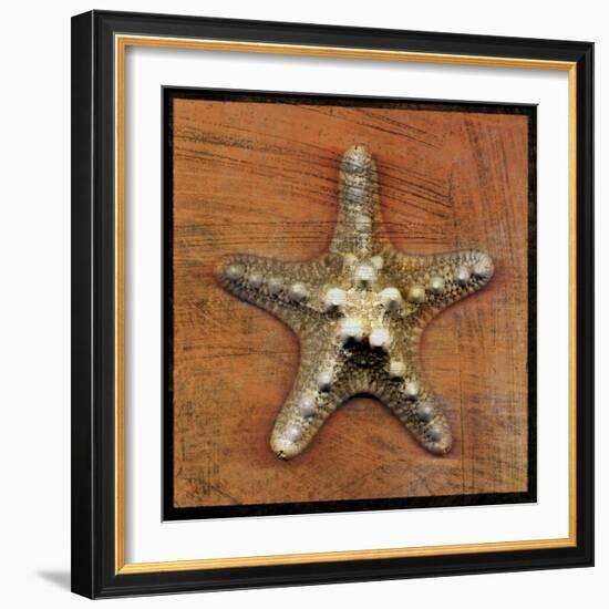 Armored Starfish-John W Golden-Framed Giclee Print