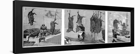 Armour Company's Pig Slaughterhouse, Chicago, Illinois, USA, 1892-null-Framed Giclee Print