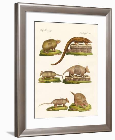 Armoured Animals-null-Framed Giclee Print