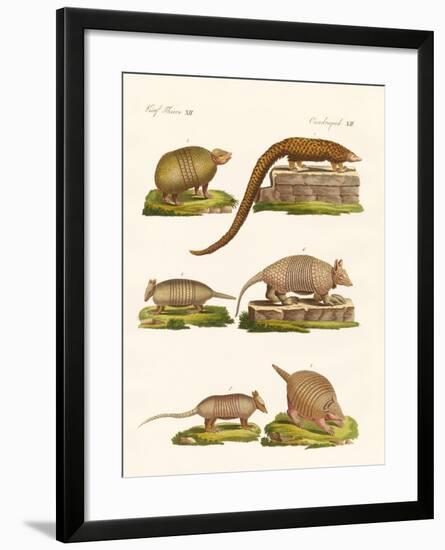 Armoured Animals-null-Framed Giclee Print