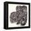 Armoured Chinese Army Elephant-Pat Nicolle-Framed Premier Image Canvas