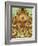 Arms of the Medici Family-Pat Nicolle-Framed Giclee Print